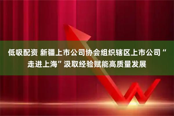 低吸配资 新疆上市公司协会组织辖区上市公司“走进上海”汲取经验赋能高质量发展